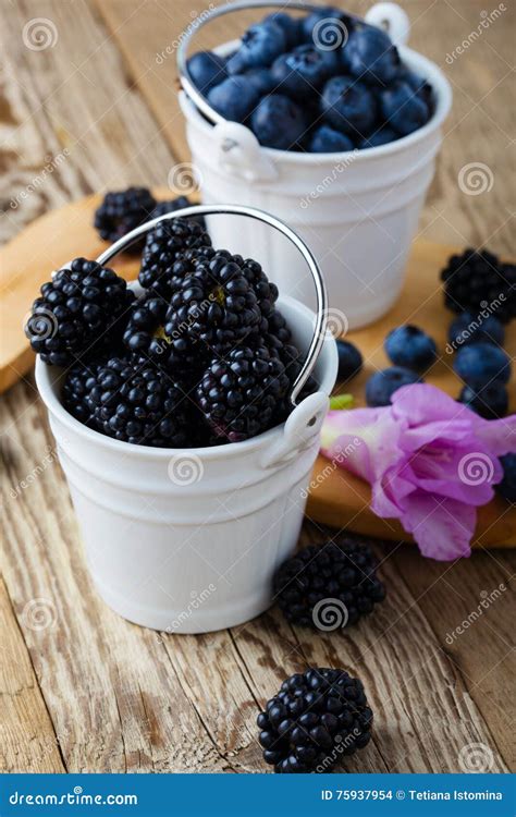 mirtilli freschi e secchi