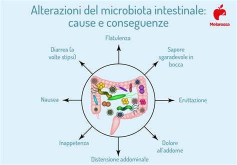 Schema che illustra i fattori che influenzano il microbiota intestinale