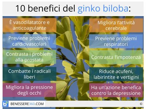 Tabella riassuntiva dei benefici e delle controindicazioni del Ginkgo Biloba