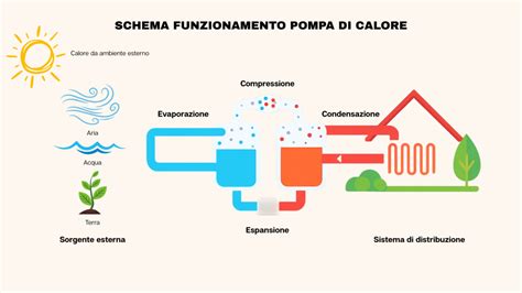 Schema di funzionamento degli integratori per il seno
