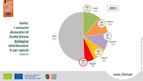 Grafico che mostra la composizione nutrizionale di frutta e verdura rispetto agli integratori alimentari.