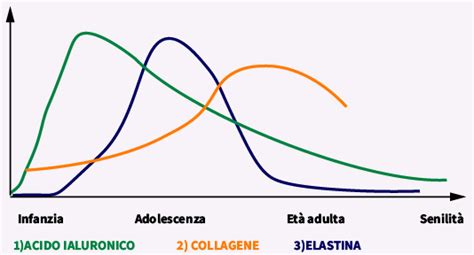 Grafico comparativo tra collagene e acido ialuronico