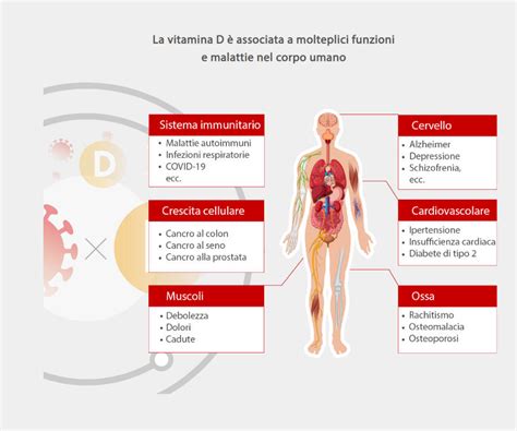 Grafico che mostra la correlazione tra livelli di vitamina D e la salute dei capelli