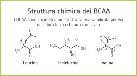 Struttura molecolare dei BCAA