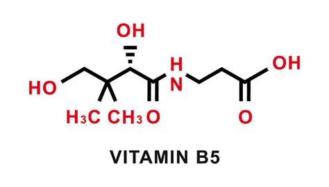 Struttura chimica della Vitamina B5