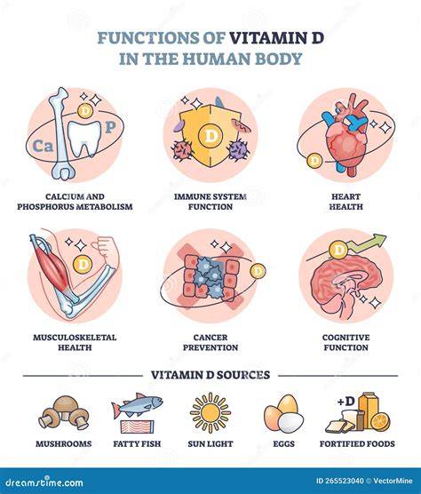 Diagramma dei benefici della Vitamina D3 sul corpo umano