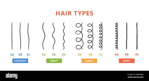 Tipi di capelli e relative cure