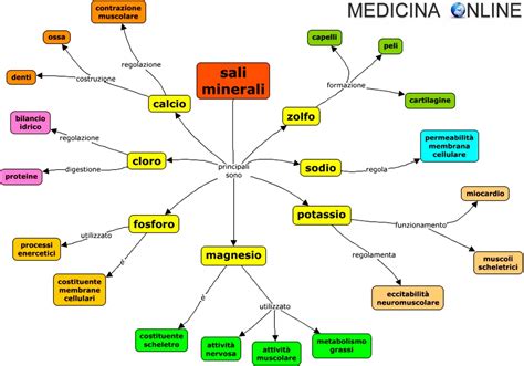 Diagramma che mostra i principali sali minerali e le loro funzioni nel corpo umano