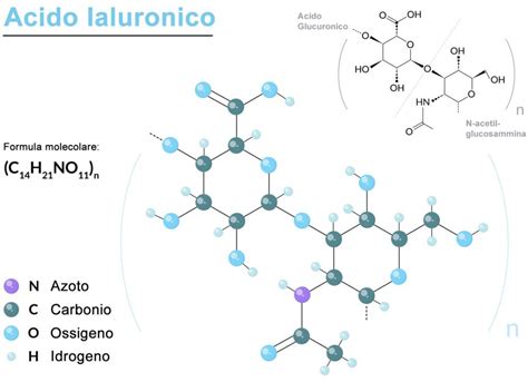 Schema molecolare dell'acido ialuronico