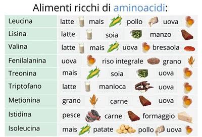 Tabella riassuntiva degli alimenti ricchi di amminoacidi essenziali
