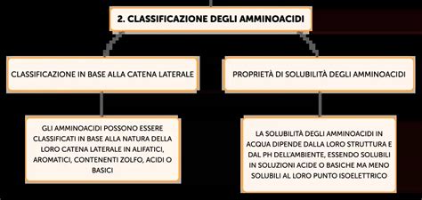 Grafico che mostra l'importanza degli amminoacidi per gli sportivi