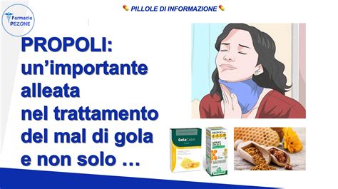 Infografica sull'azione antibatterica della propoli