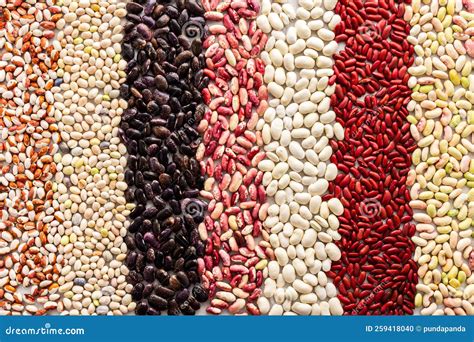 Immagine di diversi tipi di legumi