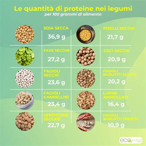 Infografica che mostra l'abbinamento di legumi e cereali per un profilo amminoacidico completo