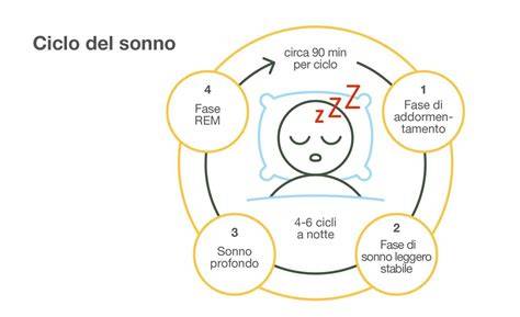 Schema del ciclo sonno-veglia umano