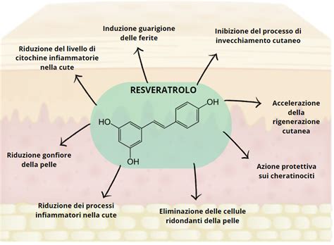 Schema dei meccanismi d'azione del resveratrolo