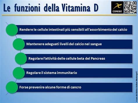 Schema che illustra le funzioni della vitamina D nel corpo umano