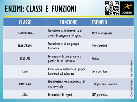 Tabella degli enzimi digestivi e loro funzioni