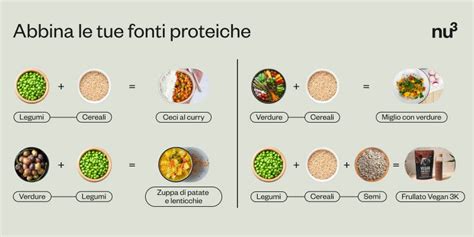Grafico comparativo del profilo aminoacidico di diverse fonti proteiche
