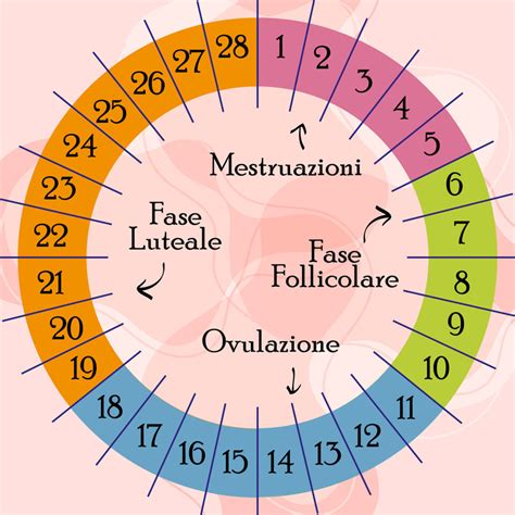 Calendario del ciclo mestruale con indicazione della fase fertile
