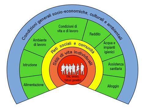 Grafico dei fattori che influenzano la salute dei capelli