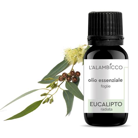 Bottiglia di olio essenziale di eucalipto Arkopharma