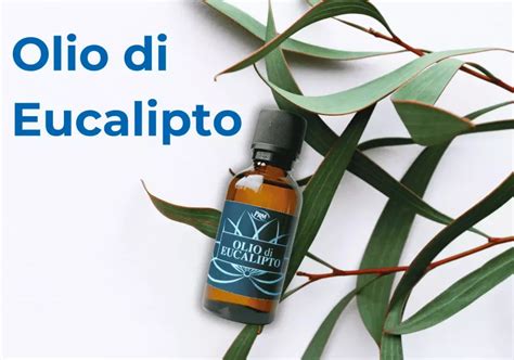 Schema dei benefici dell'olio essenziale di eucalipto