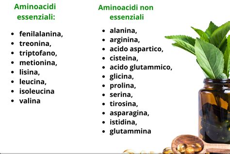 Schema dei benefici degli aminoacidi per la pelle