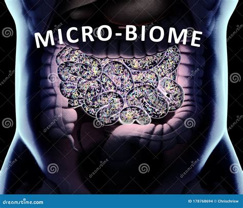 Concetto di microbioma intestinale sano