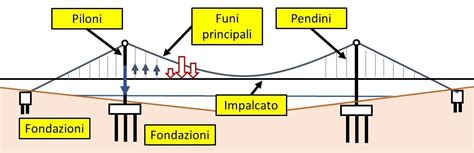 infografica che illustra la sinergia tra i componenti degli integratori
