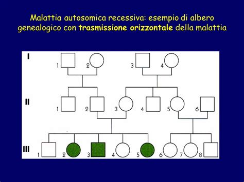 Albero genealogico che illustra la trasmissione autosomica recessiva
