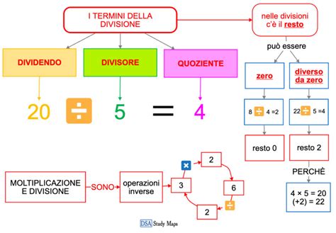 Schema della divisione dei cespi di una pianta perenne