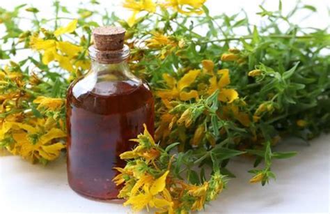 Schema dei benefici dell'olio di iperico sulla pelle