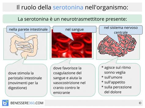 Infografica sui benefici della serotonina