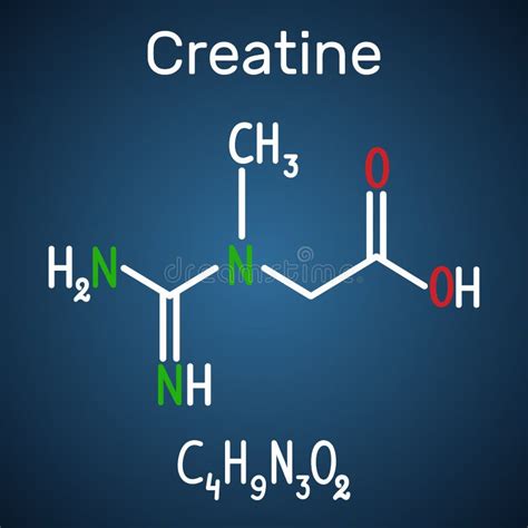 Struttura chimica della creatina