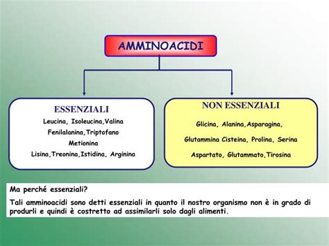 Schema degli amminoacidi essenziali e non essenziali