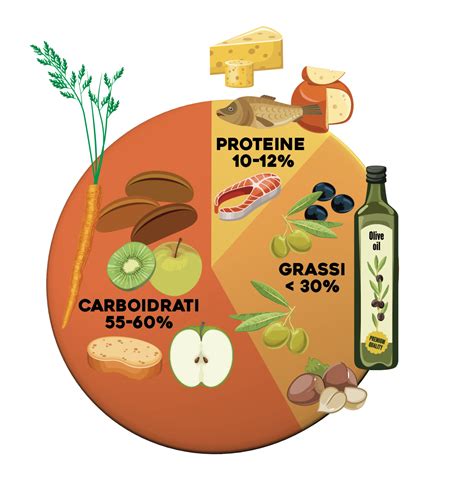 Grafico a torta che mostra la ripartizione delle fonti proteiche nella dieta