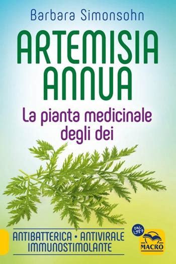 Schema dell'azione antivirale dell'Artemisia annua