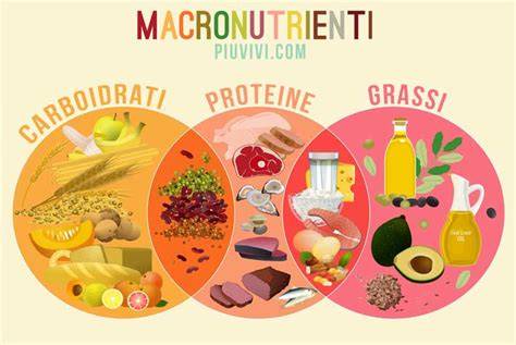 Schema dei macronutrienti e micronutrienti essenziali per il prato
