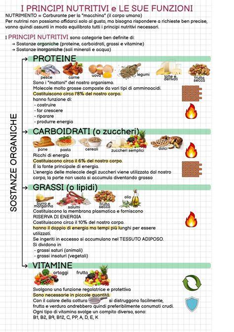 Infografica: Elementi nutritivi essenziali per il prato