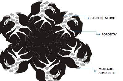 Diagramma della struttura porosa del carbone attivo