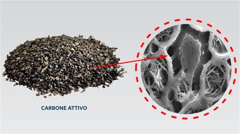 Schema che illustra le interazioni del carbone attivo con farmaci e nutrienti