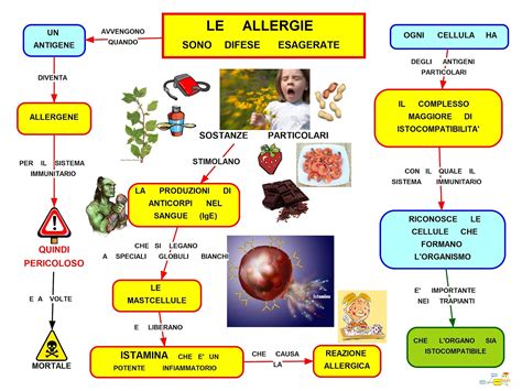 Mappa della diffusione delle allergie respiratorie nel mondo