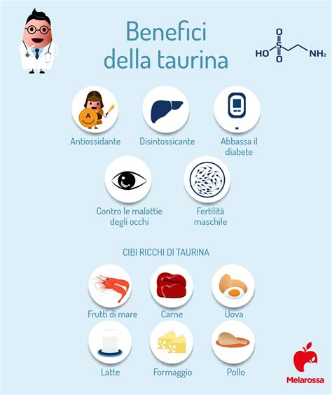 Schema dei benefici della taurina per i gatti