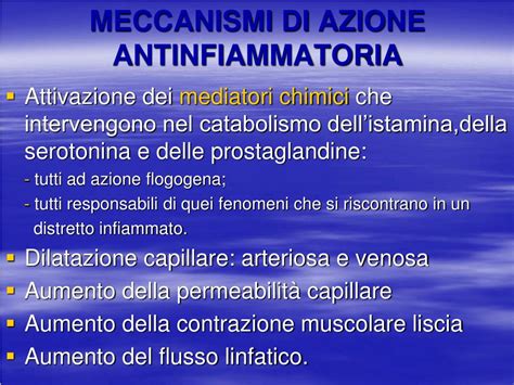 Schema che illustra i meccanismi d'azione antinfiammatoria dell'Artiglio del diavolo