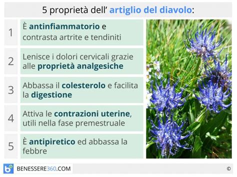 Infografica sui potenziali effetti collaterali e controindicazioni dell'Artiglio del diavolo