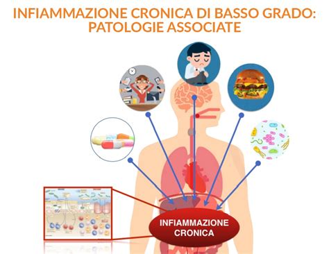 Infografica sull'interconnessione tra infiammazione, metabolismo e psoriasi