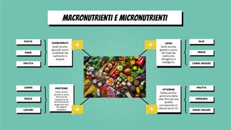 Infografica che mostra la ripartizione dei macronutrienti e micronutrienti in un sostituto del pasto al cacao.