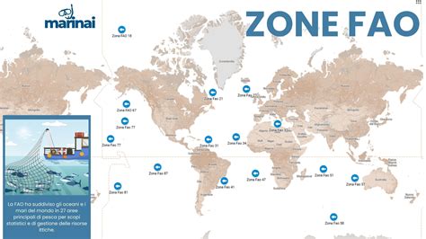 Mappa delle principali aree di produzione di Spirulina e Clorella nel mondo