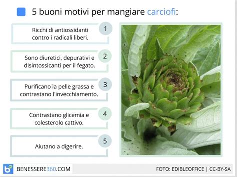 Infografica sui valori nutrizionali del carciofo